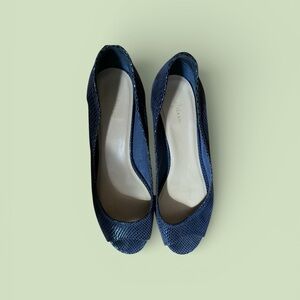 Cole Haan Blue Snakeskin Loafers